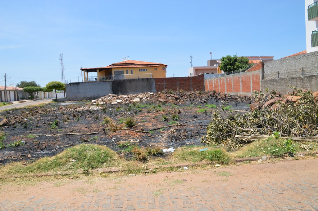 Terrenos baldios precisam ser murados