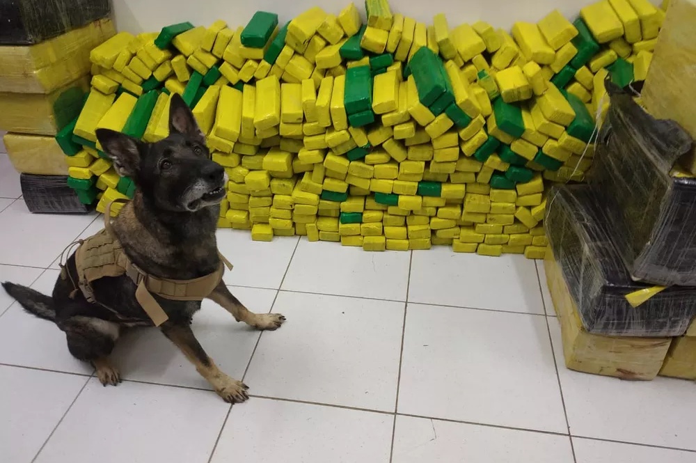 Maconha tinha como destino a cidade de Picos