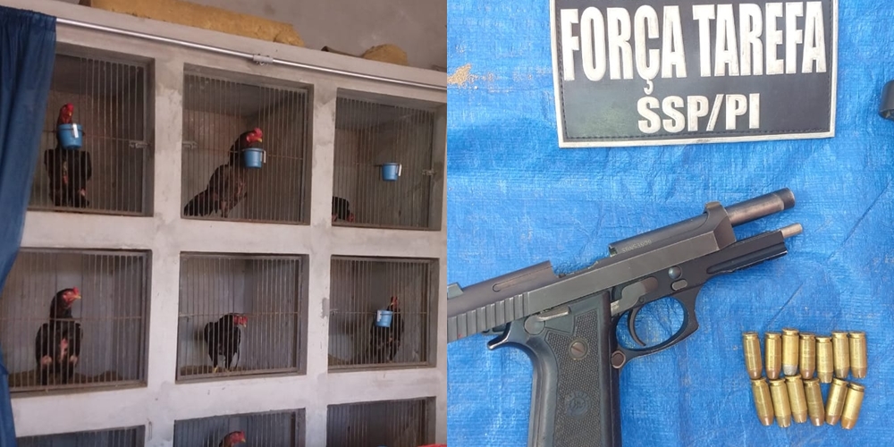 Ação da Força Tarefa na Vila Irmã Dulce