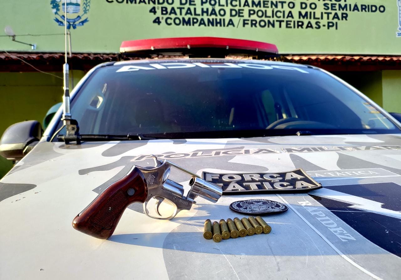 Arma de fogo apreendida