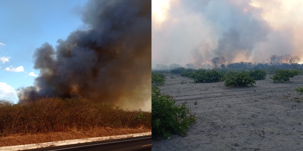 Incêndio atinge vegetação em Monsenhor Hipólito