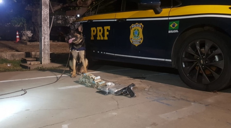 O material foi encontrado com a ajuda de cães farejadores